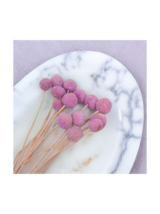 Dried Craspedia Craspedia Extra Purple Bouquet 15 Pcs