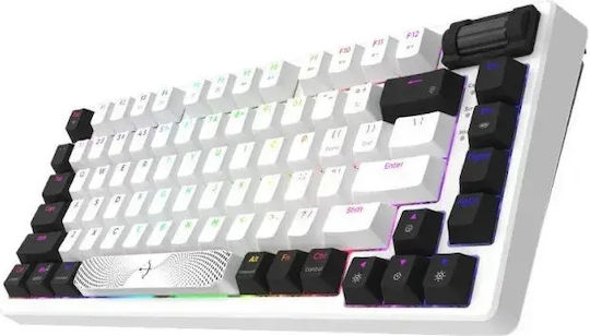 Aqirys Adara Mini LE Gaming Μηχανικό Πληκτρολόγιο 75% με Haimu Pink διακόπτες και RGB φωτισμό (Αγγλικό US) Λευκό