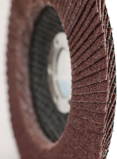 125mm P60 Flap Disc Grinding