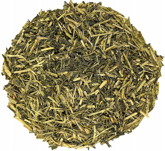 Green Touch Πράσινο Τσάι 100gr