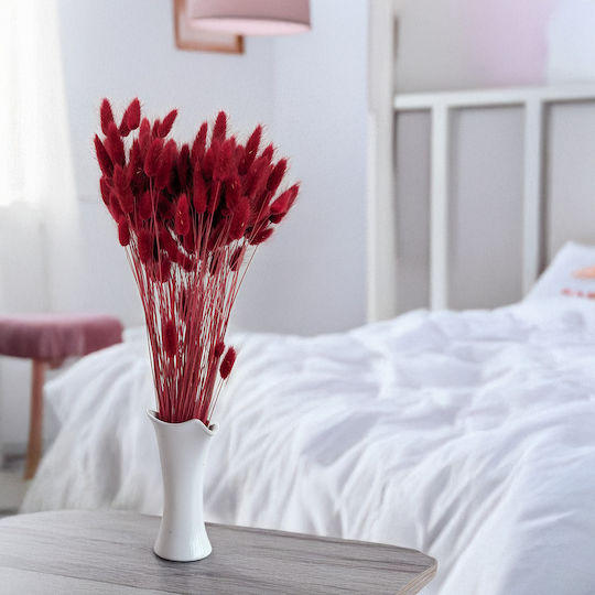 Dried Lagurus Bunny Tail Grass Burgundy