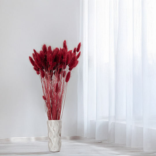 Dried Lagurus Bunny Tail Grass Burgundy