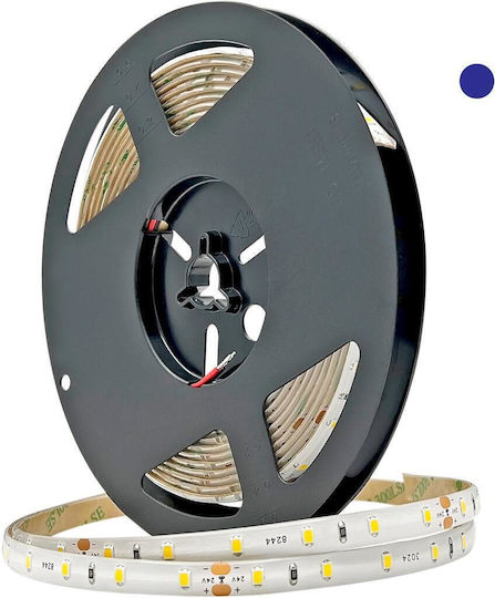 Geyer Αδιάβροχη Ταινία LED Eco 24V Μπλε Φως
