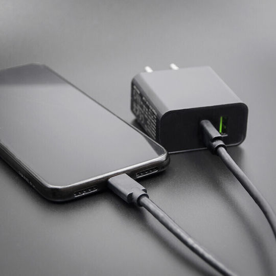 Qoltec USB 2.0 Cable USB-C Male - USB-C Black 2.5m