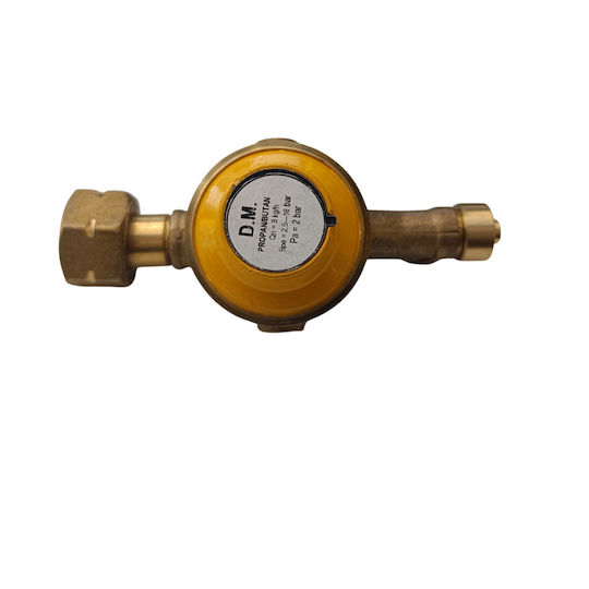Reca Regulator Gaz Presiune Înaltă Debit 8 kg/h