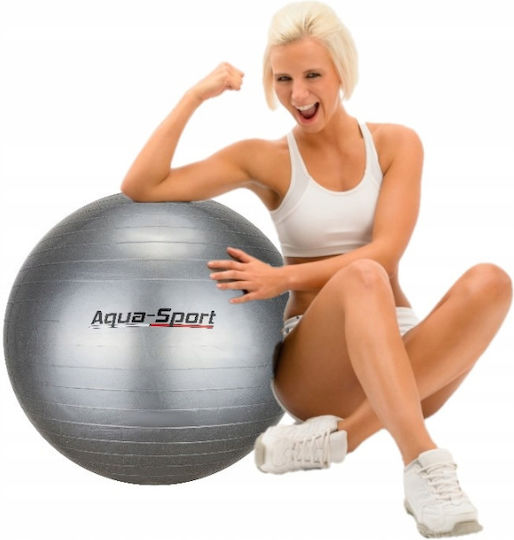 Aqua-Sport Pilates Übungsball in Grau Farbe