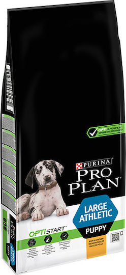 Pro Plan Healthy Start Large Athletic 12kg Hrana Uscată Pentru Căței Rase Mari Cu Pui Athletic