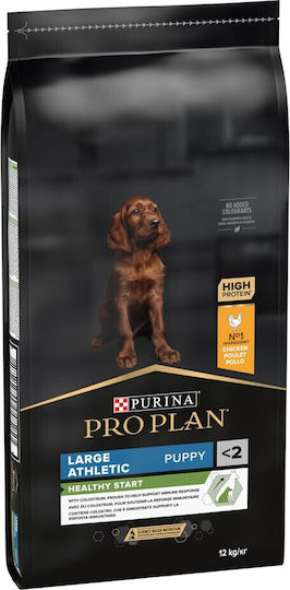 Pro Plan Healthy Start Large Athletic 12kg Hrana Uscată Pentru Căței Rase Mari Cu Pui Athletic