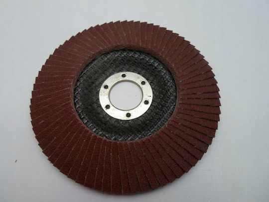 P80 Flap Disc Φ125