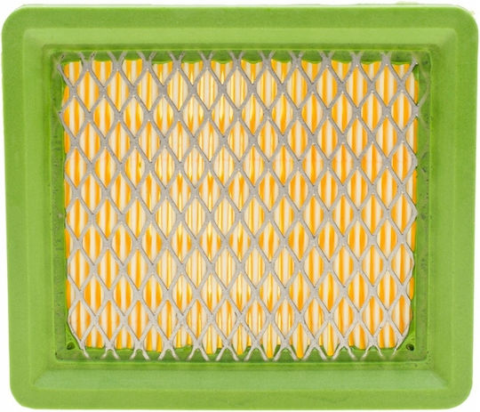 Nac Filtru De Aer Înalt T575 T675 Riwall 116 X 100 X 29 Mm