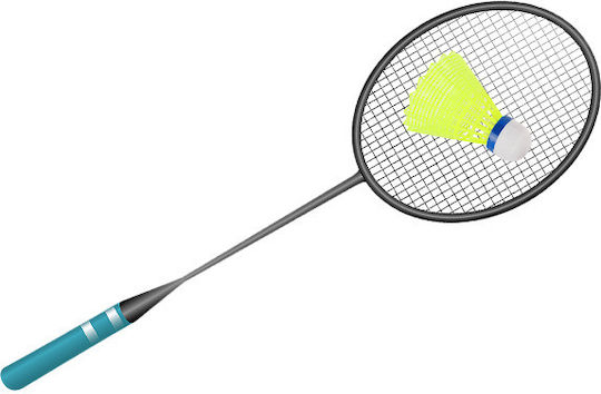 Φτερά Badminton 24τμχ