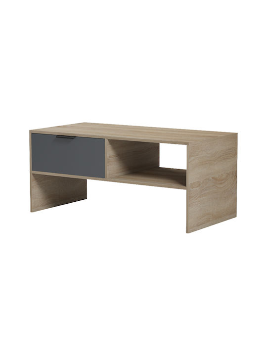 Rectangular Central Coffee Table Felina Wooden Anthracite L100xW50xH45cm
