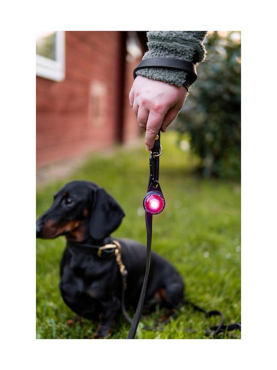 Φωτάκι Orbiloc Dog Dual Purple