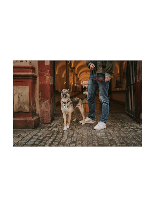 Φωτάκι Orbiloc Dog Dual Amber