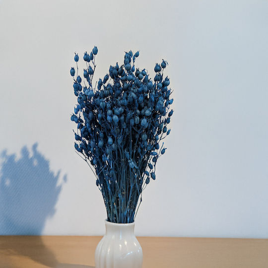 Blumen der Blauen Silene Pflanze