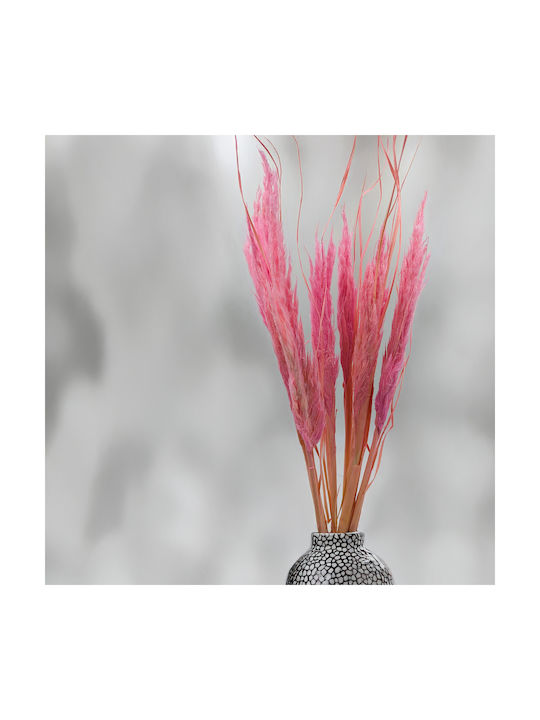 Mini Pampas Grass Pink 10pcs