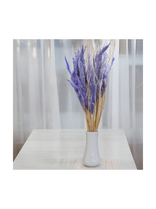 Mini Pampas Grass Lavender 10 Pcs