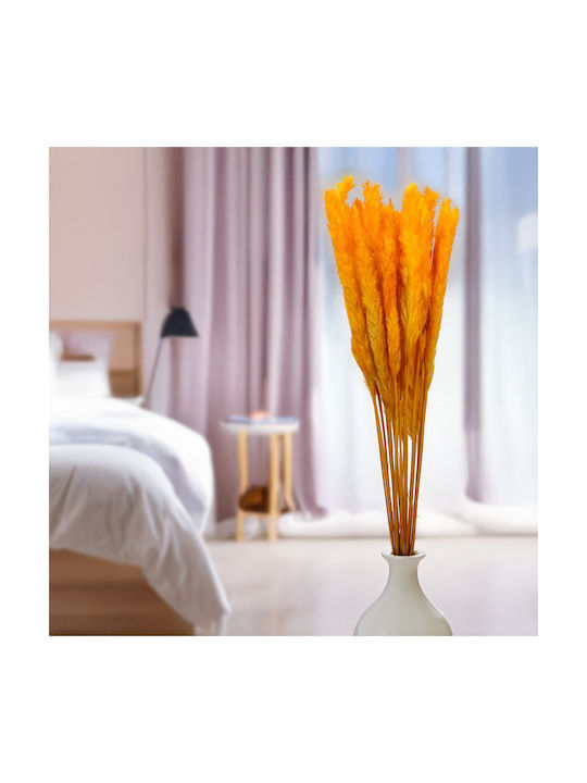Mini Pampas Grass Orange