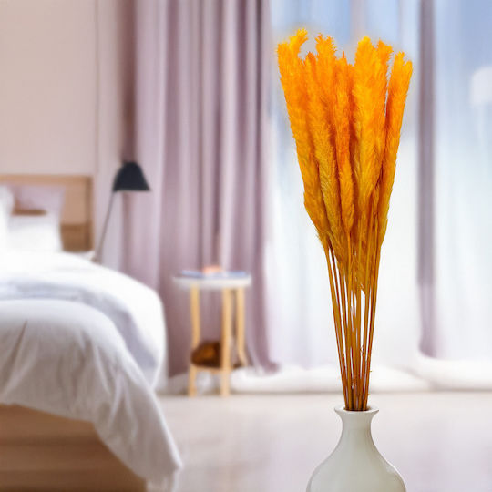 Mini Pampas Grass Orange