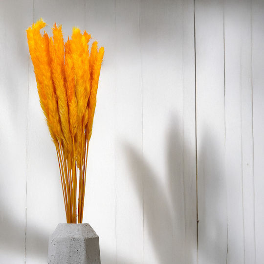 Mini Pampas Grass Orange
