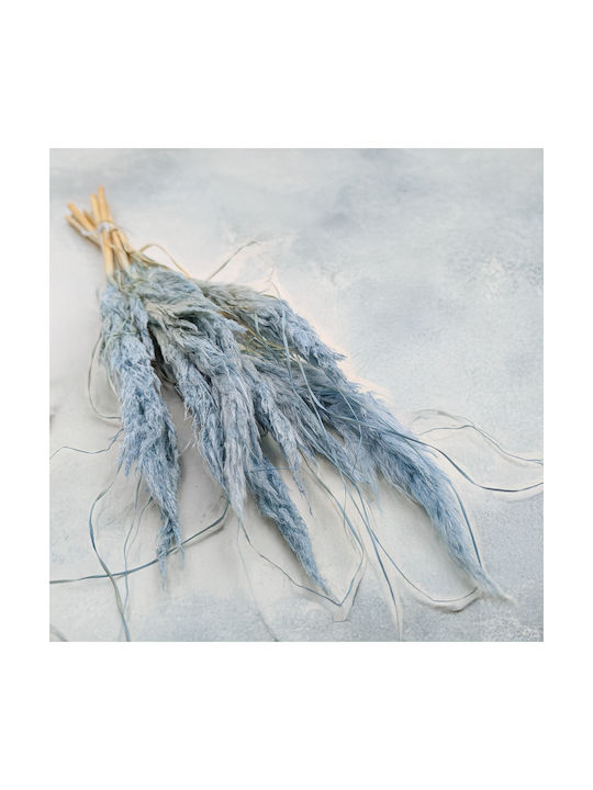 Mini Pampas Grass Blue 10pcs