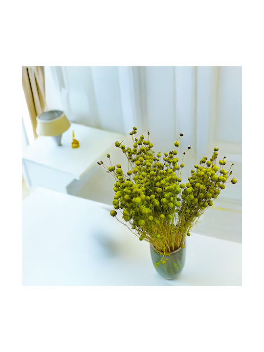 Dried Flaxseed Celadon