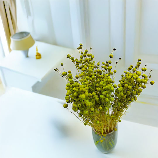 Dried Flaxseed Celadon