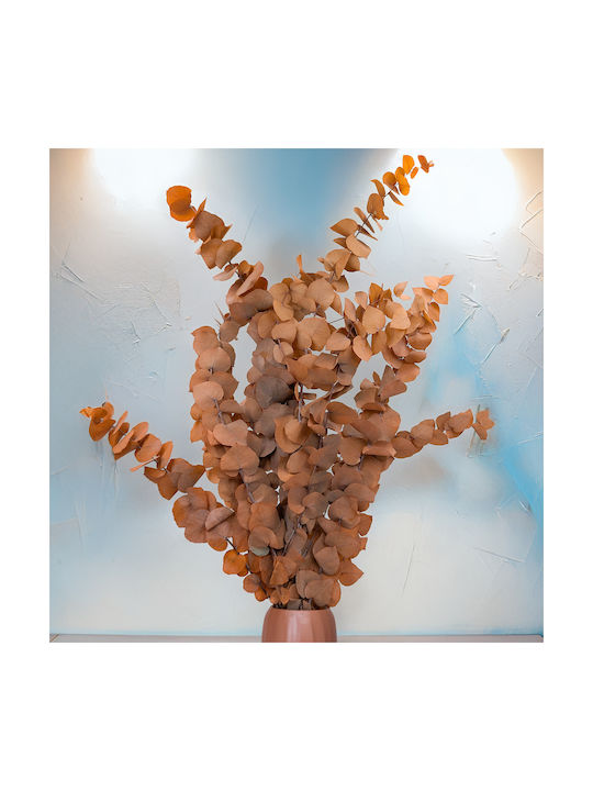 Stabilisierter Eukalyptus Stuartiana Orange