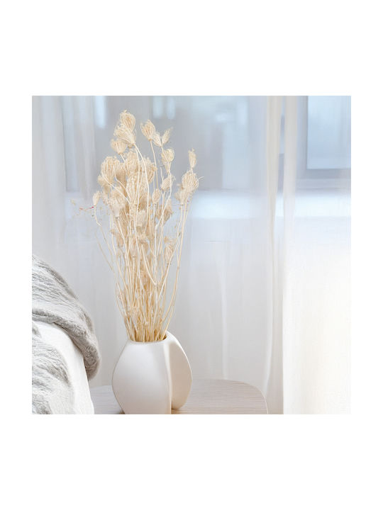 Fennel Bleached