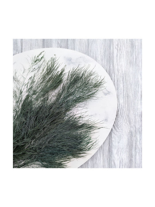 Stabilized Fern Tree-like