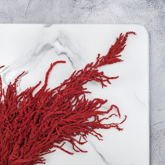 Stabilisierter Roter Amaranth