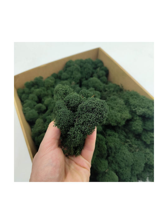 Reindeer Moss Finnish Cleaned Dark Green 500g Net