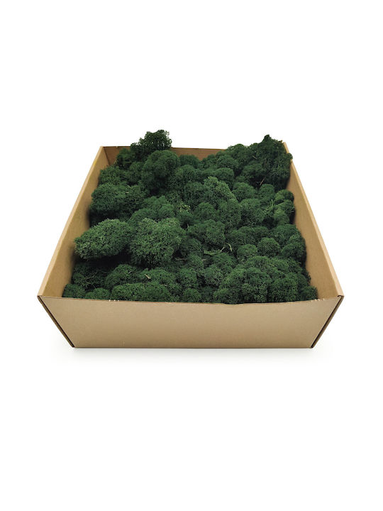Reindeer Moss Finnish Cleaned Dark Green 500g Net