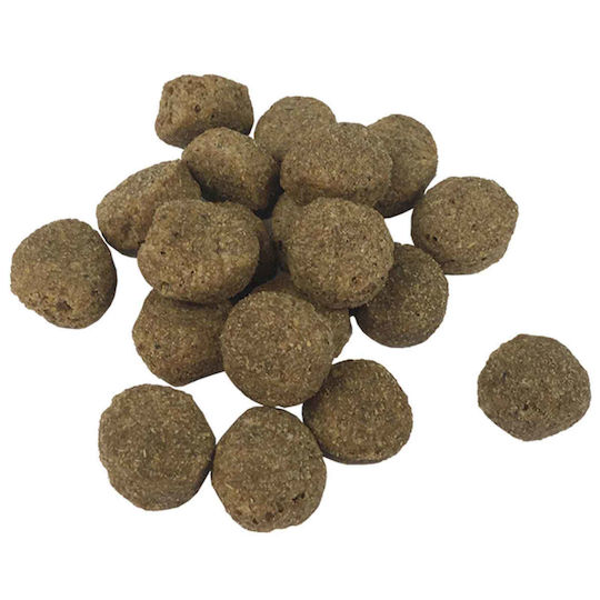 vidaXL Stainless Steel Dog Food Bowl 4.1L 10cm