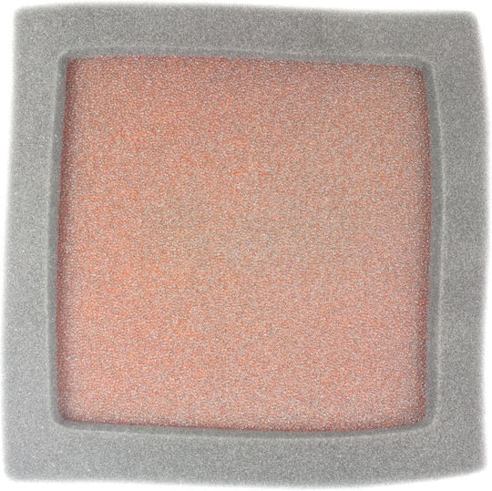 Twin Air Air Filter Polaris 500 Predator 2003-2007 Premium