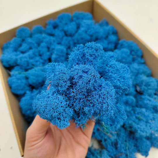 Reindeer Moss Finnish Cleaned Blue 500g Net