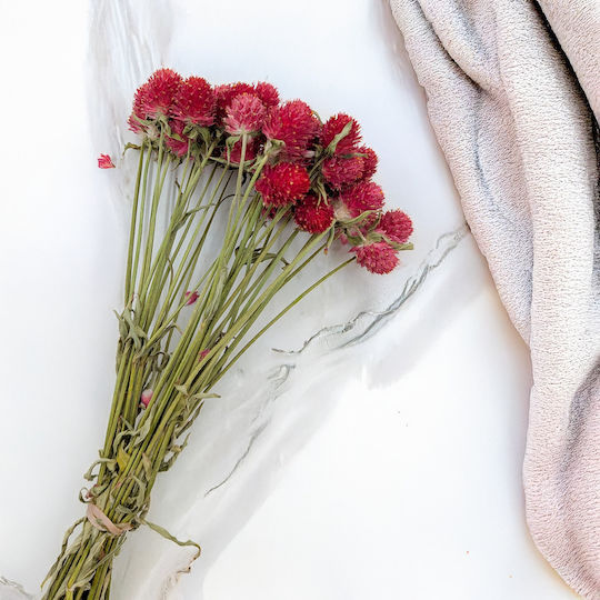 Dried Globe Amaranth Bouquet Globe Everlasting Red