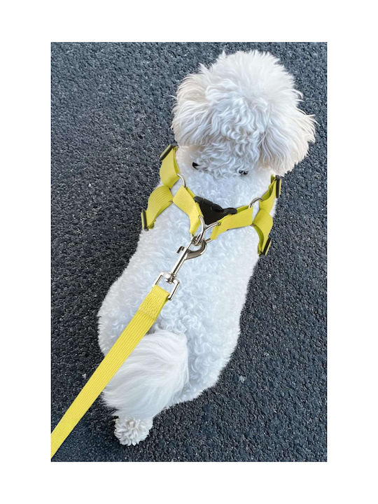 Dog Harness Leash Walking Reflective Adjustable Soft M Yellow Dog Harness Leash Walking Reflective Adjustable Soft M Yellow