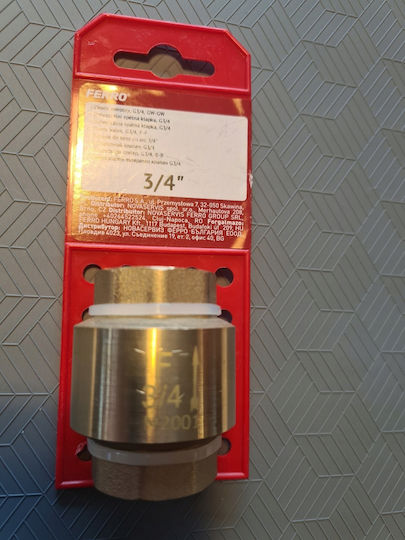 3-4" Check Valve