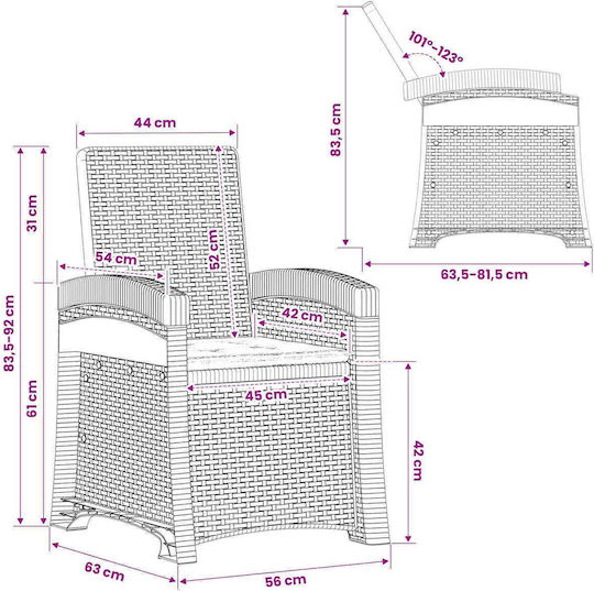 vidaXL Outdoor Chair Rattan Grey 2 Pieces 56x63x92cm