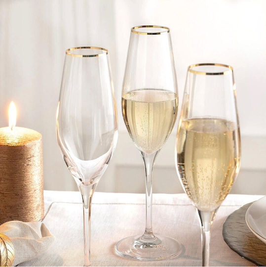 SteweHome Glas Kelch Champagner aus Glas 210ml STE-034996-P34996