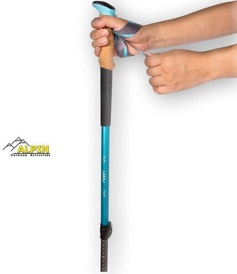 Alpin Telescopic Trekking Poles 2 Pieces Orange