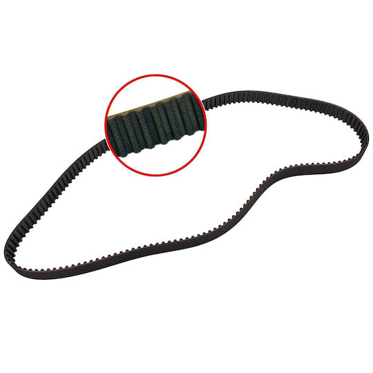 Timing Kit Belt + Roller Contitech Ct 1134 K1