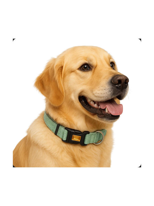 Xq2 Green Pet Collar Xq2 Green Pet Collar