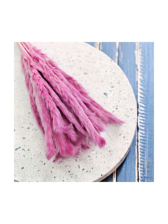 Mini Pampas Grass Heather