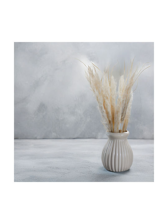 Mini Pampas Grass Bleached 10 Pcs
