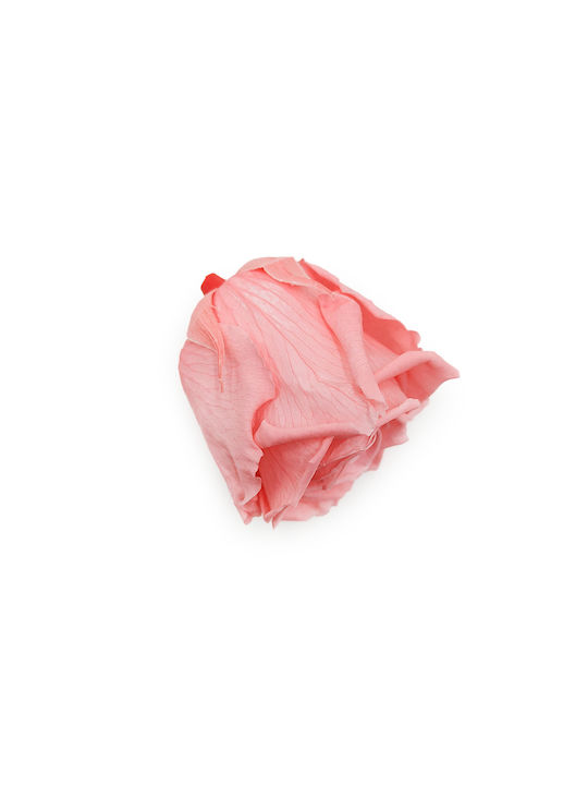 Stabilized Rose Pink Nectar Xl 3pcs