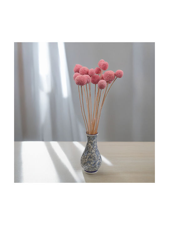 Getrockneter Craspedia Craspedia Extra Rosa Blumenstrauß 15 Stück