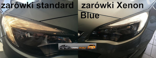 Farenheit T20 W21 5000k Led Daytime Effect Bulbs