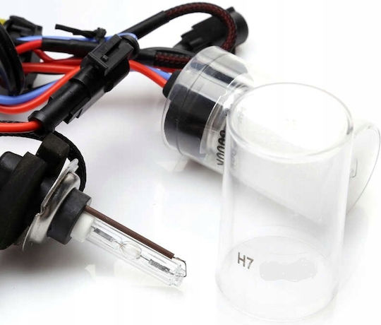 H7 35w 4300k Xenon Bulb